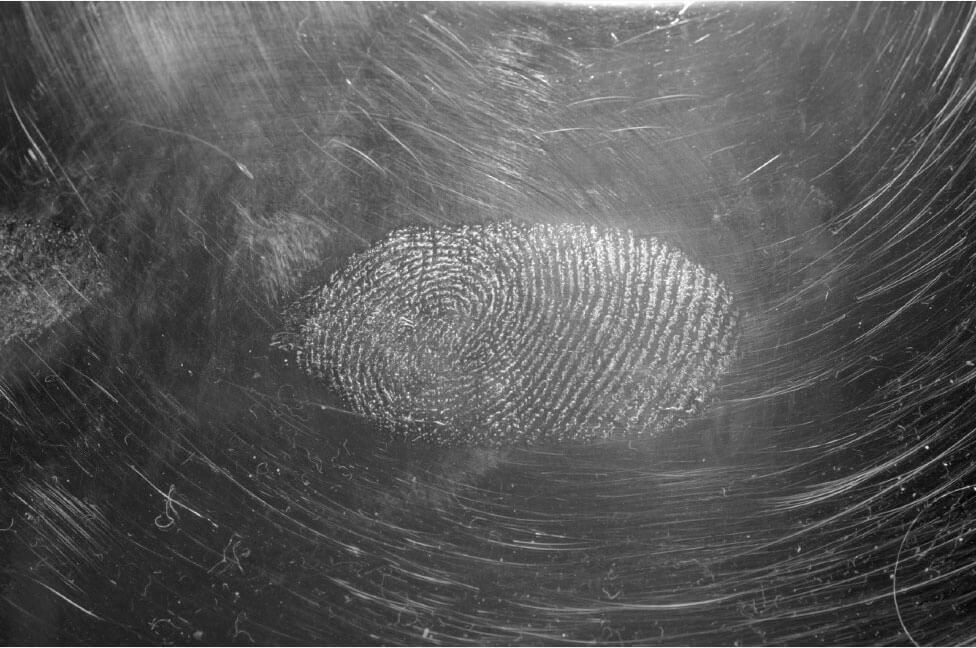 Fingerprint Example